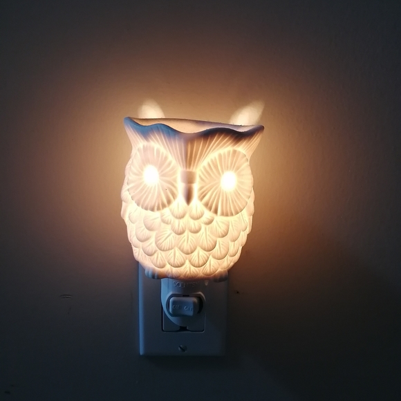 Sentsy owl - Picture 3 of 4
